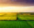 An aerial image of a few farm fields in South Dakota. The lines of the different fields are edged with groves of trees and the sun sets gently over the lush green fields.