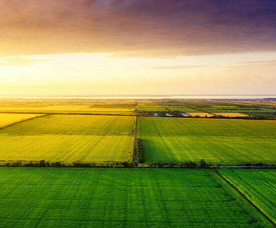 An aerial image of a few farm fields in South Dakota. The lines of the different fields are edged with groves of trees and the sun sets gently over the lush green fields.
