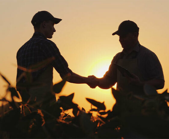 Two farmers shake hands in a soybean field. The sun is setting behind them, shadowing their figures.